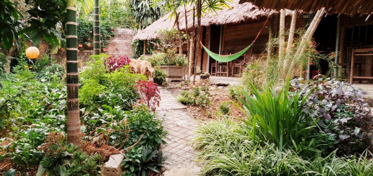 Family Homestay Ba Vi Kültér fotó