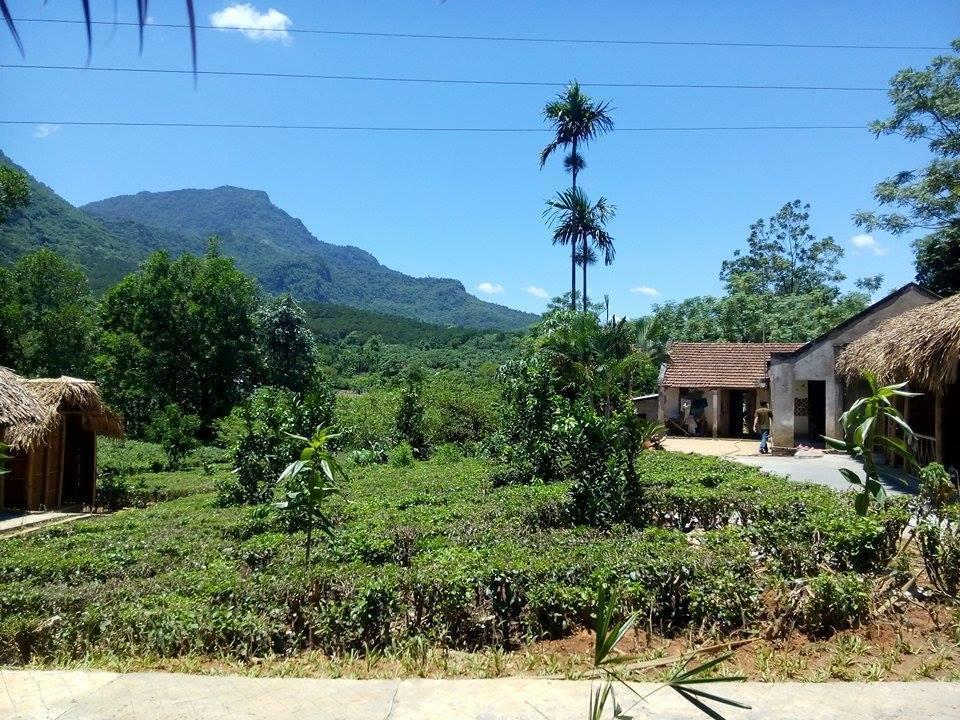 Family Homestay Ba Vi Kültér fotó