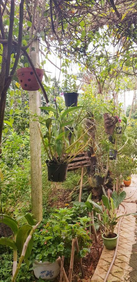 Family Homestay Ba Vi Kültér fotó