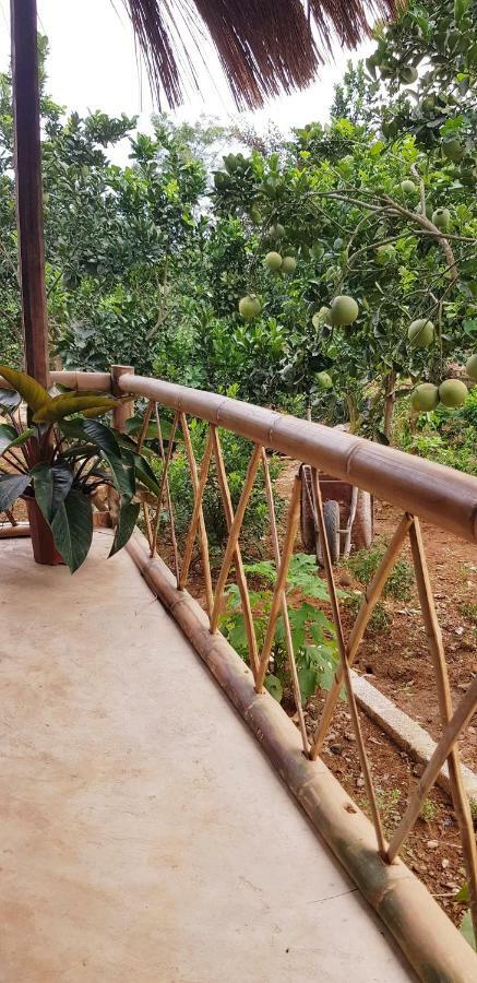 Family Homestay Ba Vi Kültér fotó